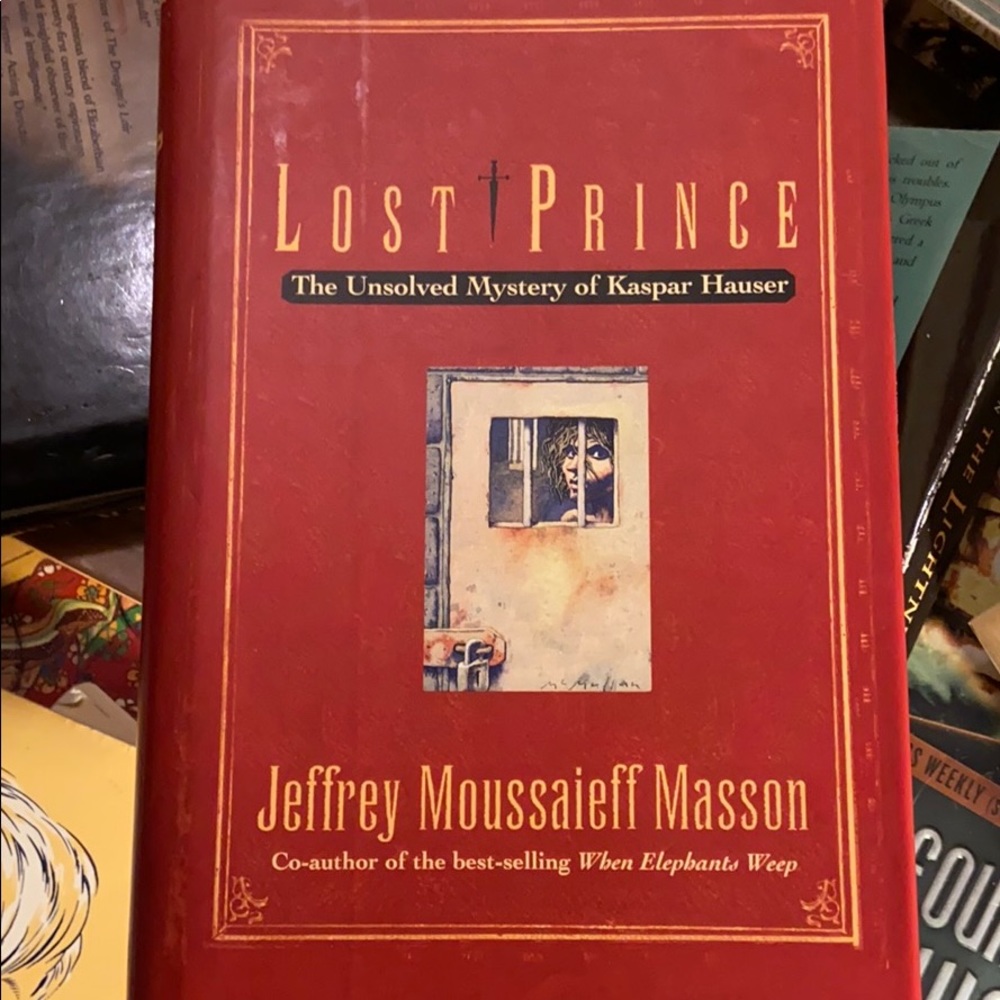 Lost Prince unsolved mystery of Kaspar Hauser